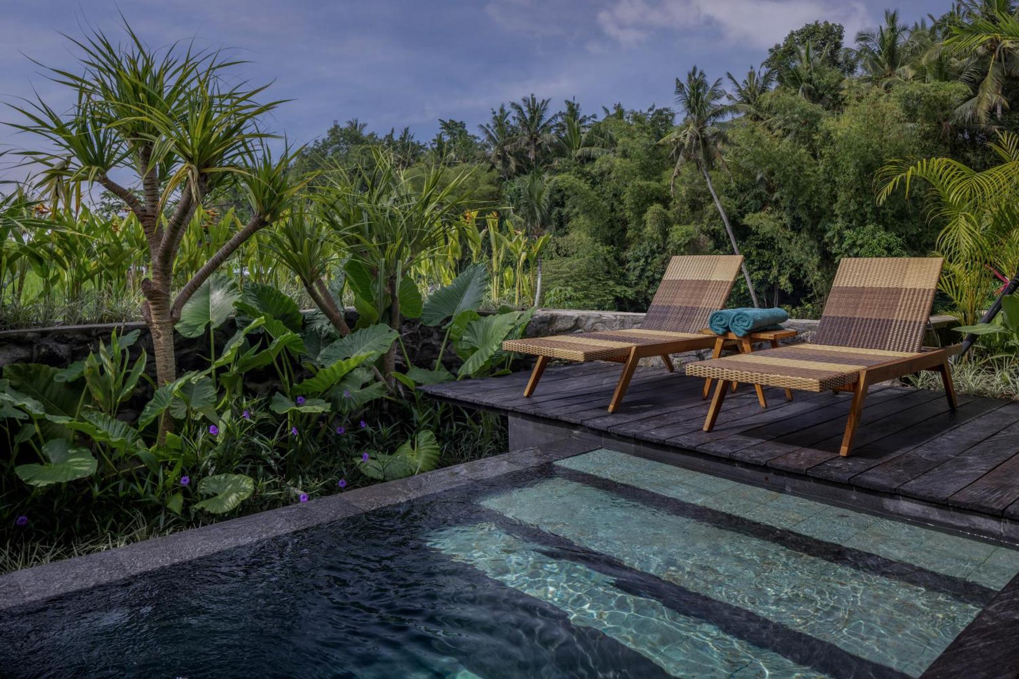 Gdas Bali Health And Wellness Resort Ουμπούντ Εξωτερικό φωτογραφία