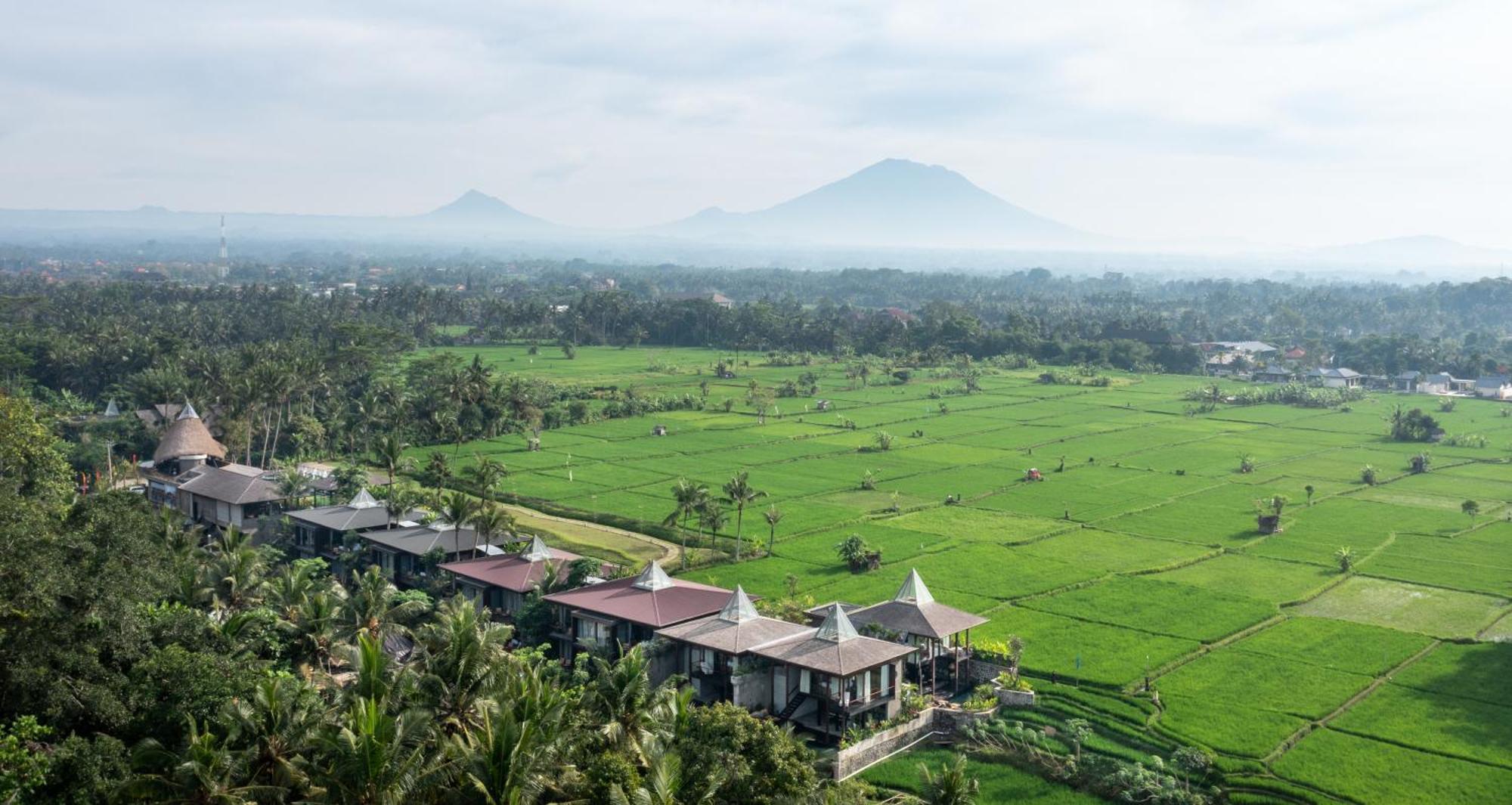 Gdas Bali Health And Wellness Resort Ουμπούντ Εξωτερικό φωτογραφία